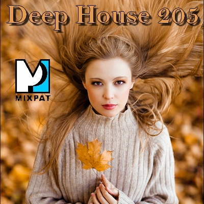 Deep House 205
