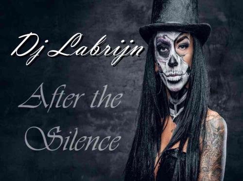 Dj Labrijn - After the Silence
