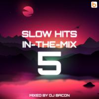 Slow Hits in-the-mix vol.5