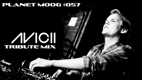 WT156 : Mickael Moog Presents : Planet Moog #057 : A Tribute To Avicii