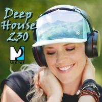 Deep House 230