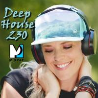 Deep House 230