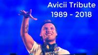 Remembering Avicii