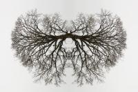 Rorschach test#2