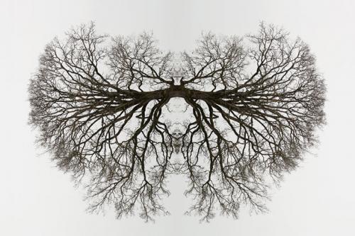 Rorschach test#2