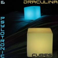 Cubes 2010