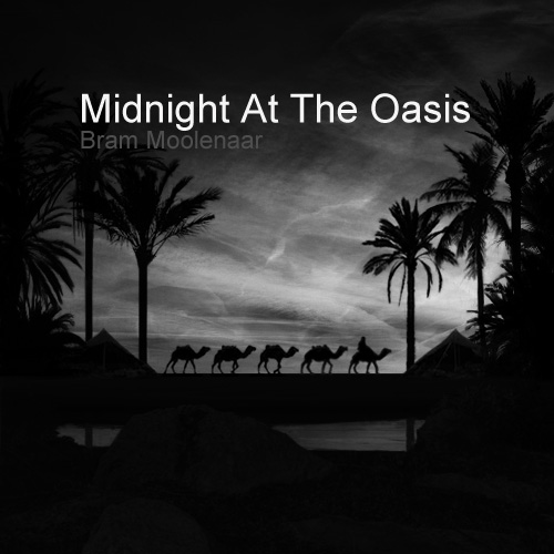 Midnight At The Oasis (Trance Classics)