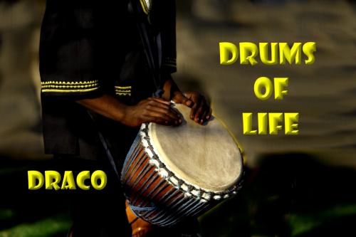 Drums of Life