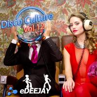 Dsico Culture Vol.12