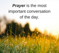 ChristmasShepherd2018