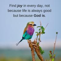 Christians Dance? ChristmasMajestic2018