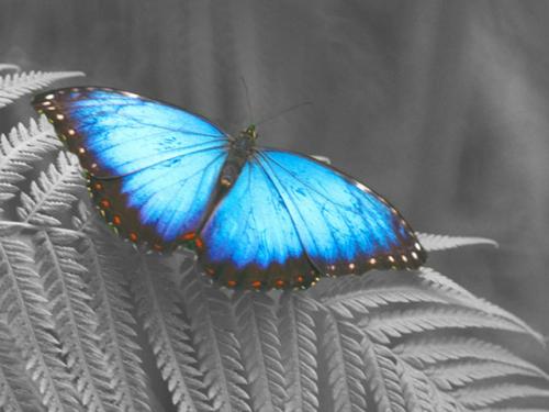 Christians Dance? 80sTime #143