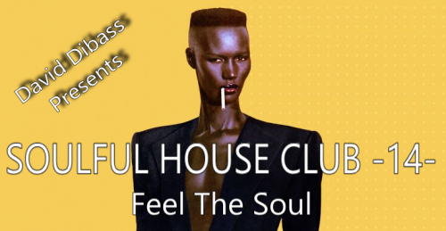 SoulFul House Club -14- (Feel The Soul)