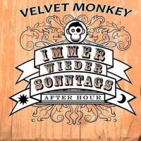 Velvet_Monkey_liveset_7.7.2019