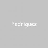 Pedrigues