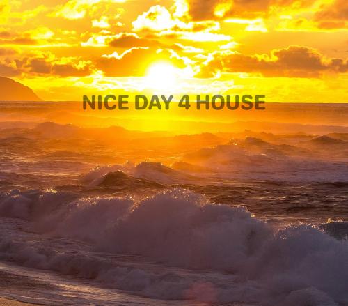 NICE DAY 4 HOUSE
