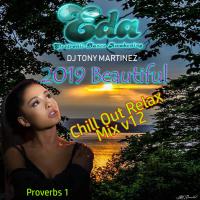 2019 Beautiful chill out V 12