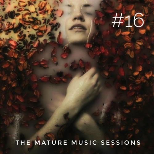 The Mature Music Sessions Vol #16 - Iain Willis