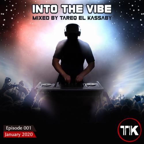 Into The Vibe 001
