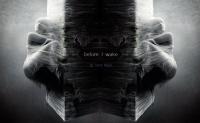 before i wake.