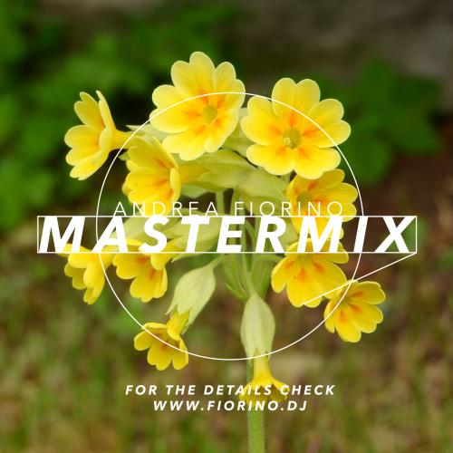 Mastermix #650