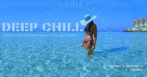 DEEP CHILL &amp; LOUNGE DelicatesenRadio 1.2020