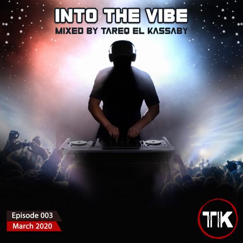 Into The Vibe 003