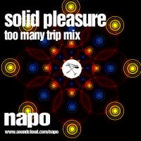 Solid Pleasure - Too Many Trip Mix - 080111