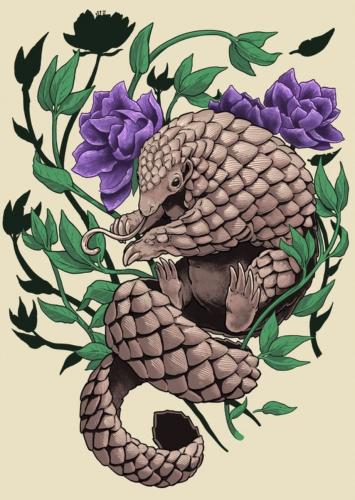 PANGOLIN PARTY 1