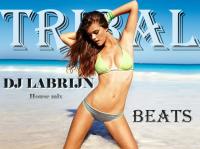 Dj labrijn - Tribal Beats