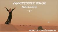PROGRESSIVE HOUSE MELODICS -1-