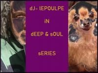 dJ LEPOULPE - dEEP &amp; sOUL sERIES  OO9