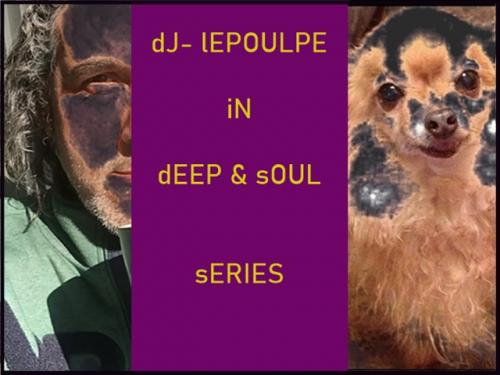 dJ LEPOULPE - dEEP &amp; sOUL sERIES  OO9