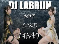 Dj Labrijn - Not Like That
