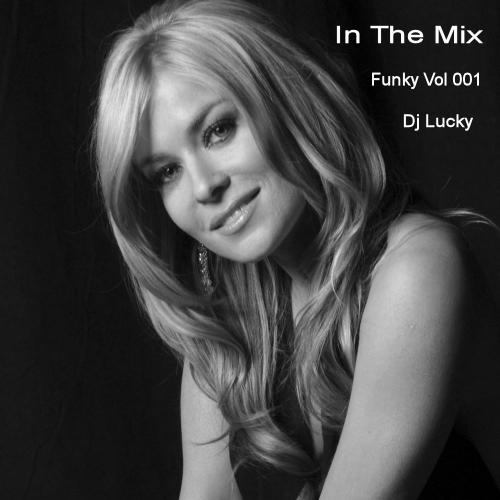 In The Mix Funky Vol 001