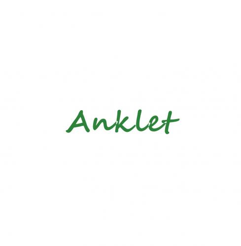 iAnklet