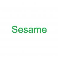 Sesame