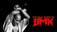 TRIBUTE TO DMX VIDEO MIX 