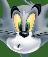 Tom CAT