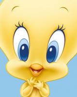 Tweety Babe