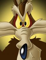 Coyote
