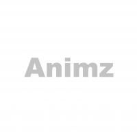 Animz
