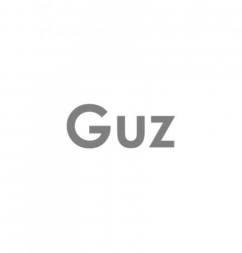 Guz