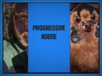 pROGRESSIVE hOUSE 