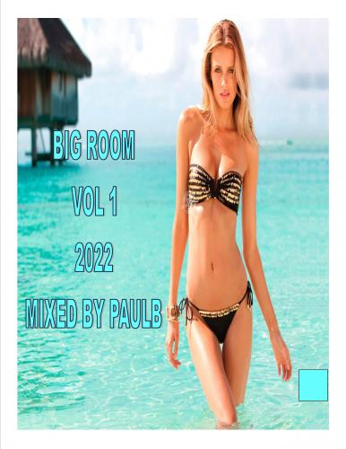 BIG ROOM VOL 1 2022