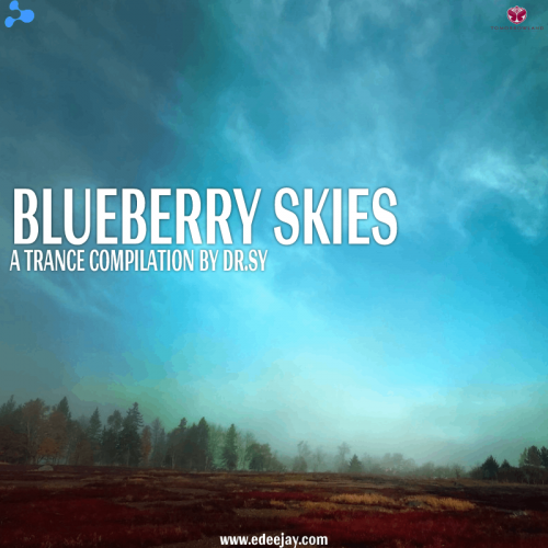 BLUEBERRY SKIES