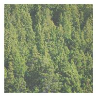 Christians Party? Unite4Ukraine#84