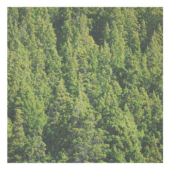 Christians Party? Unite4Ukraine#84