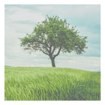 Christians Party? Unite4Ukraine#86