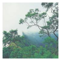 Christians Party? Unite4Ukraine#87